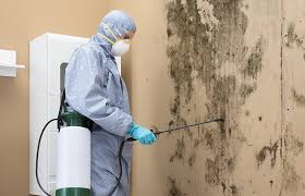 Best Forensic Mold Investigation  in Lucas, TX